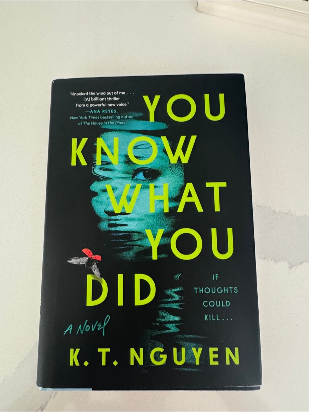 "You Know What You Did" - thriller novel by K.T. Nguyen